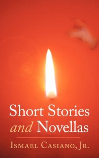 bokomslag Short Stories and Novellas