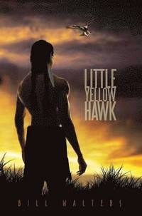 bokomslag Little Yellow Hawk