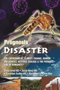 bokomslag Prognosis Disaster