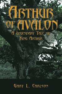 bokomslag Arthur of Avalon