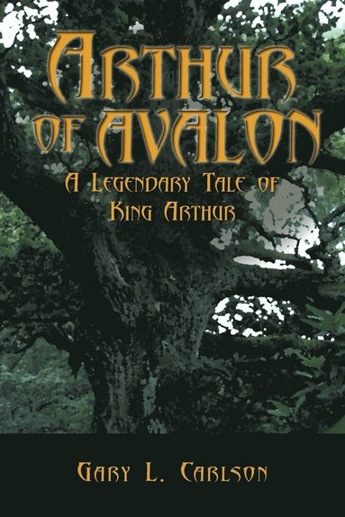 bokomslag Arthur of Avalon