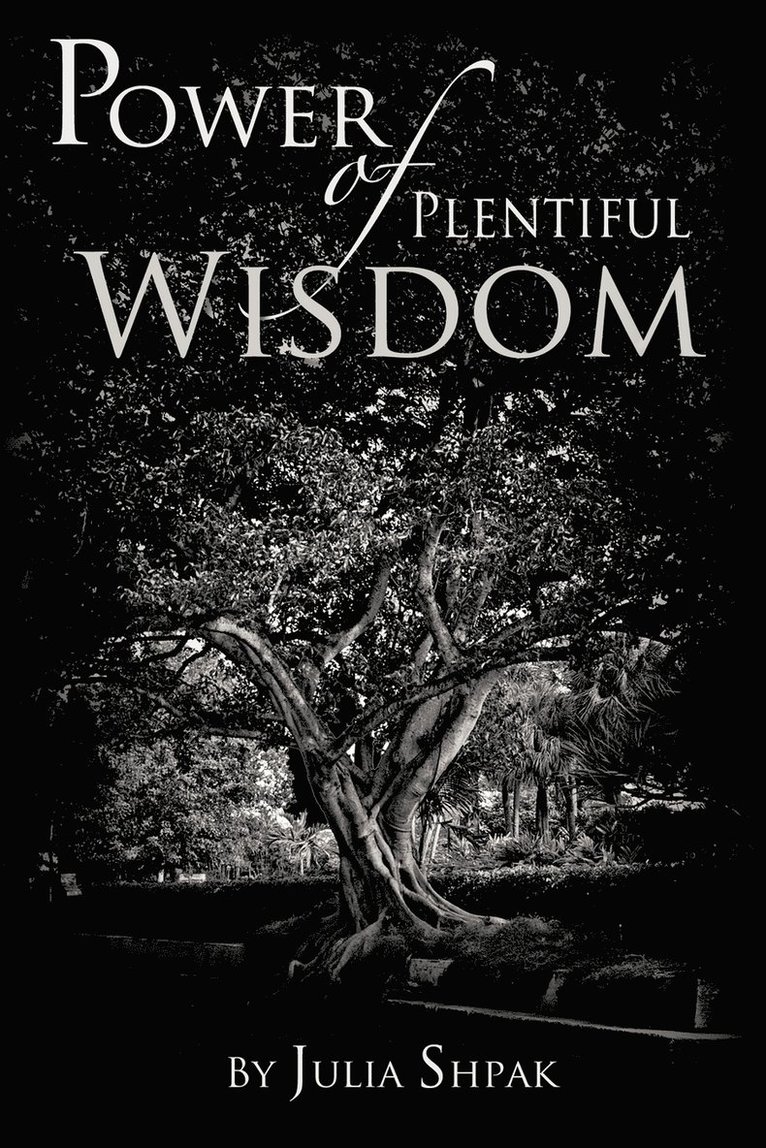 Power of Plentiful Wisdom 1