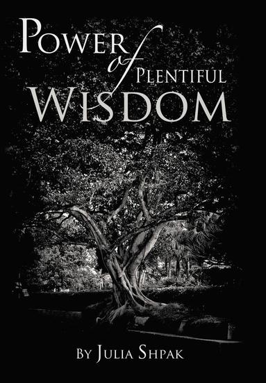 bokomslag Power of Plentiful Wisdom