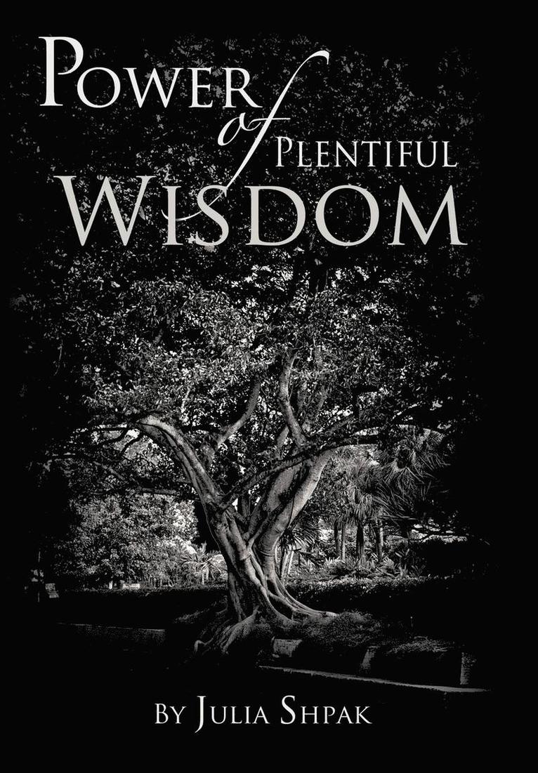 Power of Plentiful Wisdom 1