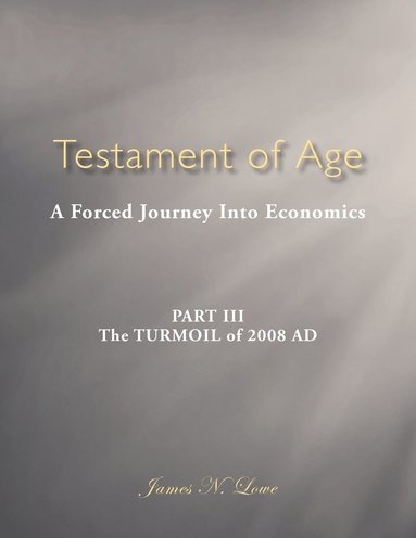 bokomslag Testament of Age: A Forced Journey Into Economics Part III: The Turmoil of 2008 Ad