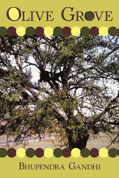 bokomslag Olive Grove