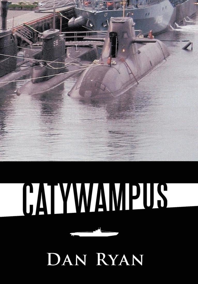 Catywampus 1