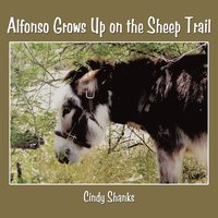 bokomslag Alfonso Grows Up on the Sheep Trail