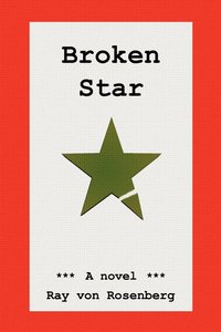 bokomslag Broken Star