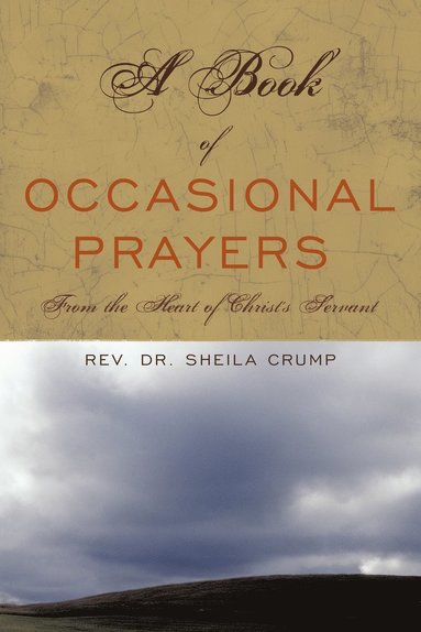 bokomslag Book of Occasional Prayers
