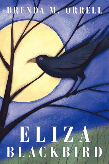 bokomslag Eliza Blackbird