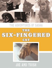 bokomslag The Adventures of Sasha, the Six-Fingered Cat