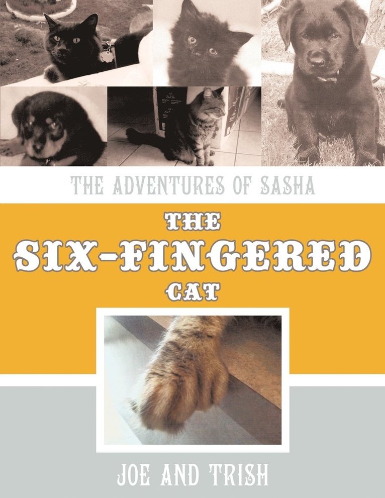 The Adventures of Sasha, the Six-Fingered Cat 1