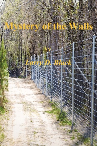 Larry Black - Mystery of the Walls, Häftad