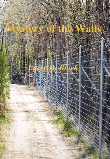 Larry Black - Mystery of the Walls, Inbunden