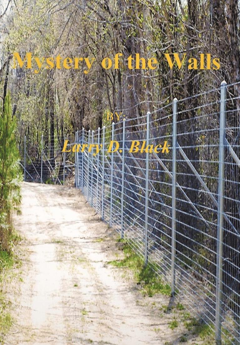 Mystery of the Walls 1