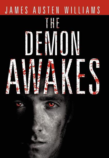 bokomslag Demon Awakes