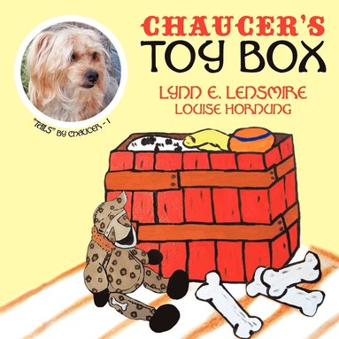 bokomslag Chaucer's Toy Box