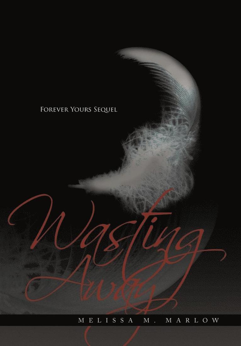 Melissa M. Marlow, Melissa M Marlow - Wasting Away, Inbunden