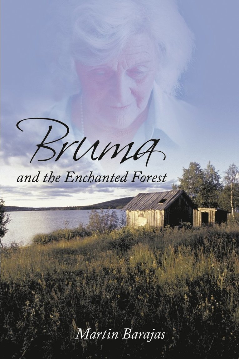 Bruma and the Enchanted Forest 1