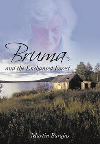 bokomslag Bruma and the Enchanted Forest