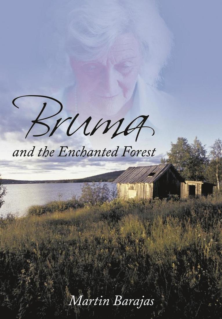 Bruma and the Enchanted Forest 1