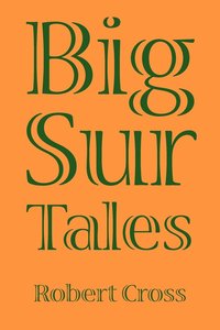 bokomslag Big Sur Tales