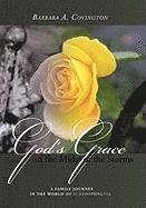 God's Grace in the Midst of the Storms 1