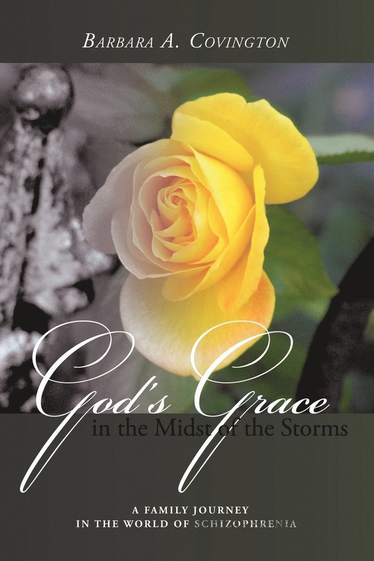 God's Grace in the Midst of the Storms 1