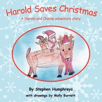 bokomslag Harold Saves Christmas