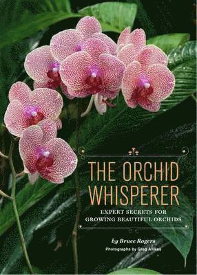 bokomslag Orchid Whisperer