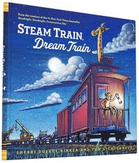 bokomslag Steam Train, Dream Train