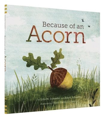 Lola M. Schaefer, Adam Schaefer - Because of an Acorn, Inbunden
