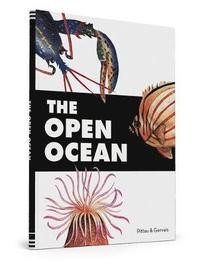 bokomslag The Open Ocean