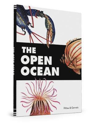 The Open Ocean 1