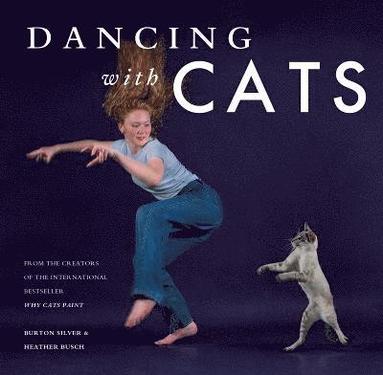 bokomslag Dancing with Cats