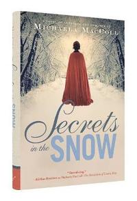 bokomslag Secrets in the Snow