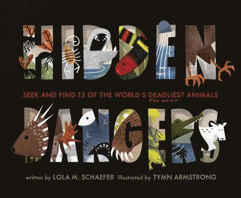 Hidden Dangers 1