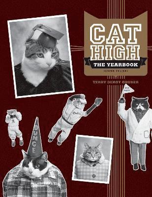 bokomslag Cat High