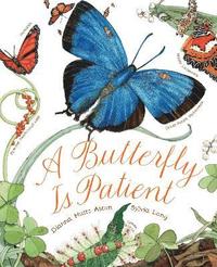 bokomslag A Butterfly Is Patient