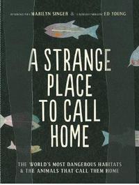 bokomslag A Strange Place to Call Home