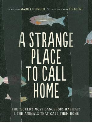 A Strange Place to Call Home 1