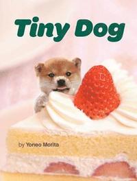 bokomslag Tiny Dog