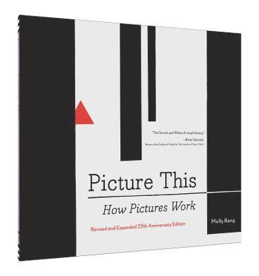 Picture This: How Pictures Work 1