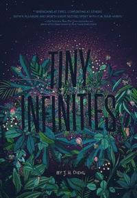 bokomslag Tiny Infinities
