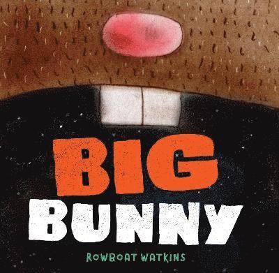 Big Bunny 1