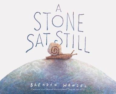 bokomslag Stone Sat Still