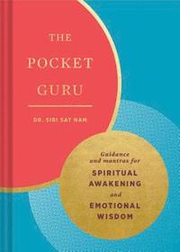 bokomslag The Pocket Guru