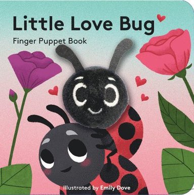 bokomslag Little Love Bug