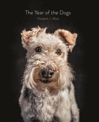 The Year of the Dogs 1